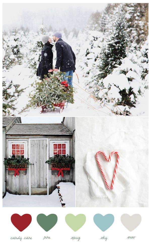 matrimonio in inverno