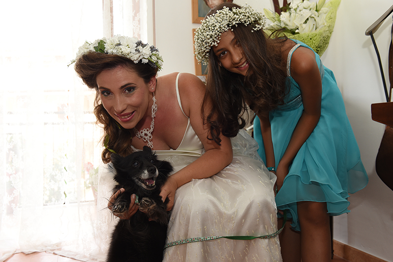 coroncine sposa damigella: gerbere e gypsophila