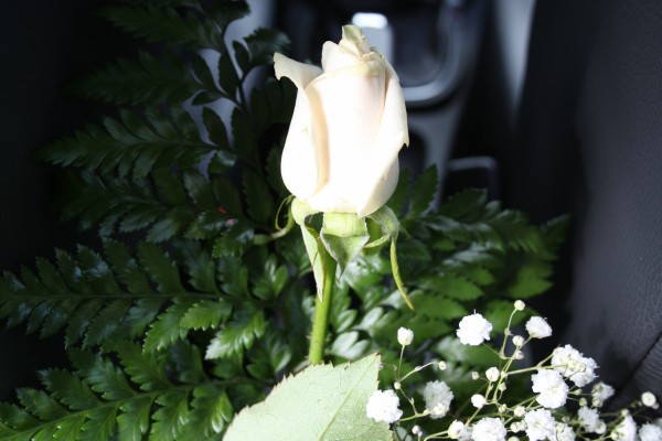 rose color cipria: allestimento economico fiori per un matrimonio in uniforme a novembre