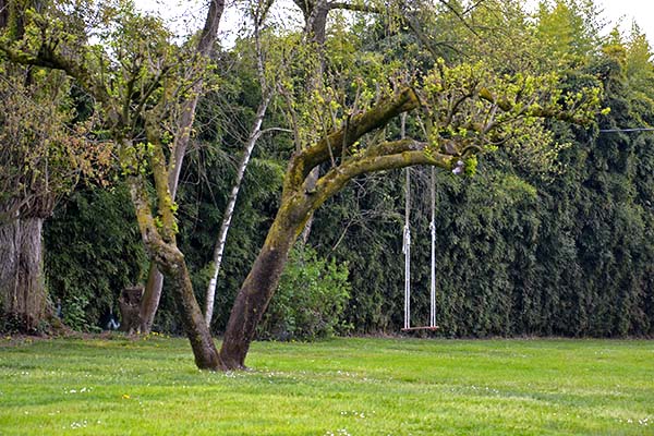 altalena-la-finestra-di-fronte
