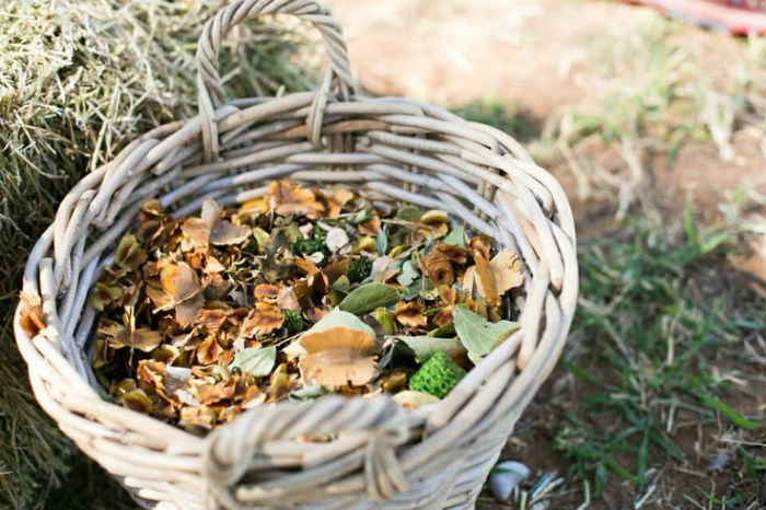 alternativa lancio riso matrimonio in autunno