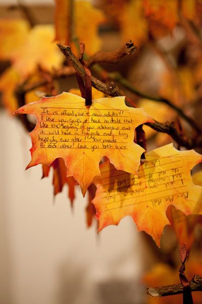 guestbook matrimonio in autunno