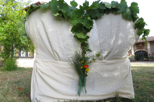 idee allestimento per un matrimonio ispirato al vino