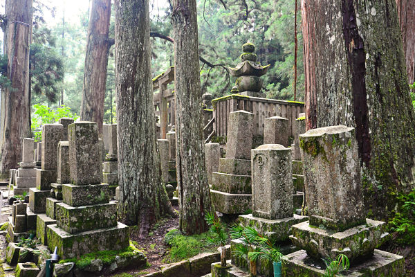 Monte Koya cimitero Okunoin | Viaggio di nozze in Giappone